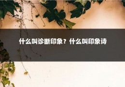 什么叫诊断印象？什么叫印象诗