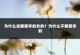 为什么说娶属羊的女的？为什么不娶属羊的