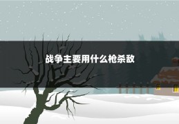 战争主要用什么枪杀敌