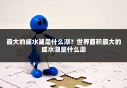 最大的咸水湖是什么湖？世界面积最大的咸水湖是什么湖