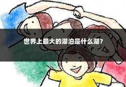 世界上最大的湖泊是什么湖？