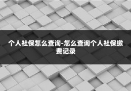 个人社保怎么查询-怎么查询个人社保缴费记录