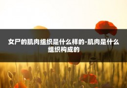 女尸的肌肉组织是什么样的-肌肉是什么组织构成的