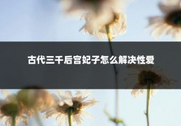 古代三千后宫妃子怎么解决性爱