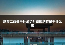 纳粹二战都干什么了？德国纳粹是干什么的