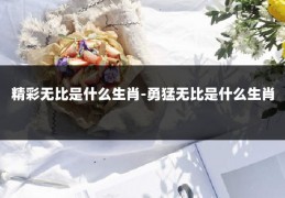 精彩无比是什么生肖-勇猛无比是什么生肖