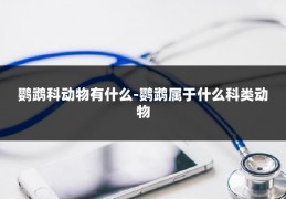 鹦鹉科动物有什么-鹦鹉属于什么科类动物