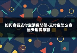 如何查看支付宝消费总额-支付宝怎么查当天消费总额