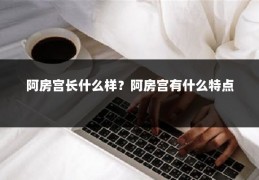 阿房宫长什么样？阿房宫有什么特点