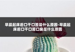 早晨起床后口干口苦是什么原因-早晨起床后口干口苦口臭是什么原因