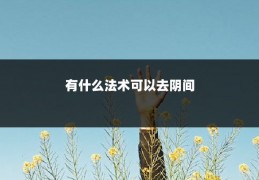 有什么法术可以去阴间