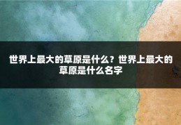 世界上最大的草原是什么？世界上最大的草原是什么名字