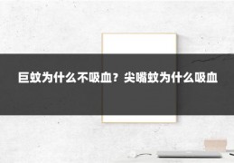 巨蚊为什么不吸血？尖嘴蚊为什么吸血