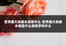 世界最大的咸水湖是什么-世界最大的咸水湖是什么湖名字叫什么