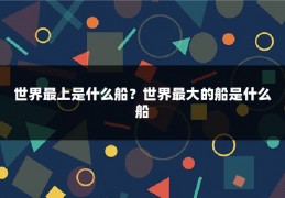 世界最上是什么船？世界最大的船是什么船