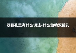 双瞳孔里有什么说法-什么动物双瞳孔