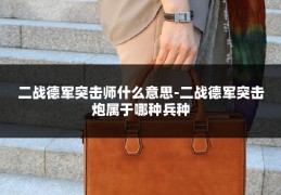 二战德军突击师什么意思-二战德军突击炮属于哪种兵种