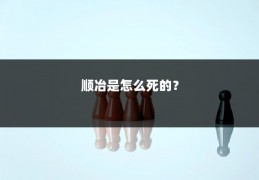 顺冶是怎么死的？