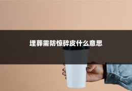 埋葬需防惊碎皮什么意思