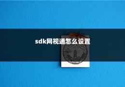 sdk网视通怎么设置