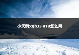 小天鹅xqb35 818怎么用