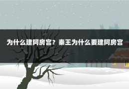 为什么建阿房宫？秦王为什么要建阿房宫