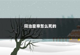 同治皇帝怎么死的