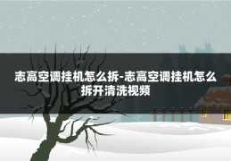 志高空调挂机怎么拆-志高空调挂机怎么拆开清洗视频