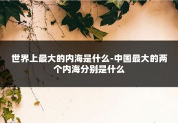 世界上最大的内海是什么-中国最大的两个内海分别是什么