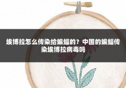 埃博拉怎么传染给蝙蝠的？中国的蝙蝠传染埃博拉病毒吗