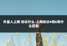 外星人上网 协议什么-上网协议4和6有什么区别