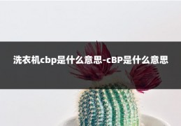 洗衣机cbp是什么意思-cBP是什么意思