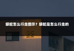 蟒蛇怎么行走图示？蟒蛇是怎么行走的