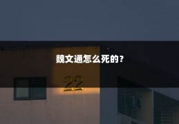 魏文通怎么死的？