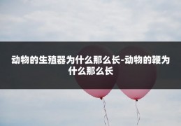 动物的生殖器为什么那么长-动物的鞭为什么那么长