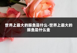 世界上最大的鲸鱼是什么-世界上最大的鲸鱼是什么金