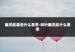 幽灵船最后什么意思-树叶幽灵船什么意思