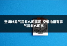 空调吐雾气是怎么回事啊-空调抽湿有雾气是怎么回事