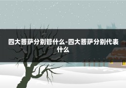 四大菩萨分别管什么-四大菩萨分别代表什么