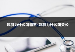 项羽为什么叫霸王-项羽为什么叫关公