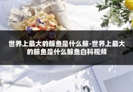 世界上最大的鲸鱼是什么鲸-世界上最大的鲸鱼是什么鲸鱼白科视频