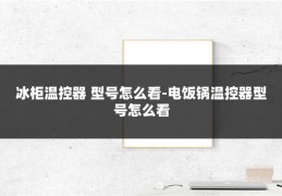 冰柜温控器 型号怎么看-电饭锅温控器型号怎么看