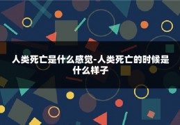 人类死亡是什么感觉-人类死亡的时候是什么样子