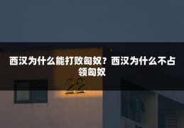 西汉为什么能打败匈奴？西汉为什么不占领匈奴