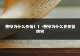 曹操为什么杀荀？？-曹操为什么要杀管粮官