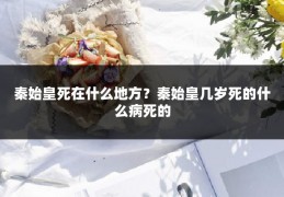 秦始皇死在什么地方？秦始皇几岁死的什么病死的