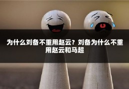 为什么刘备不重用赵云？刘备为什么不重用赵云和马超