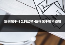 鬣狗属于什么科动物-鬣狗属于哪科动物