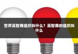 世界高智商组织叫什么？高智商的组织叫什么