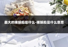 最大的捕鲸船是什么-捕鲸船是什么意思